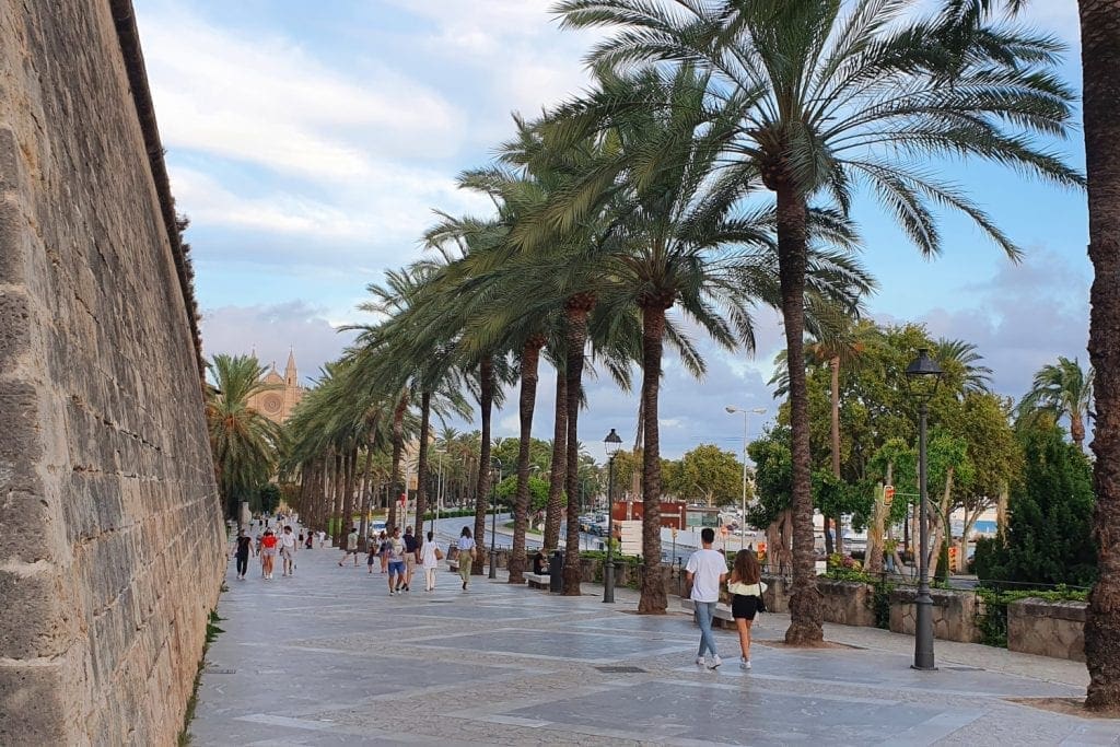 Palma tourist information